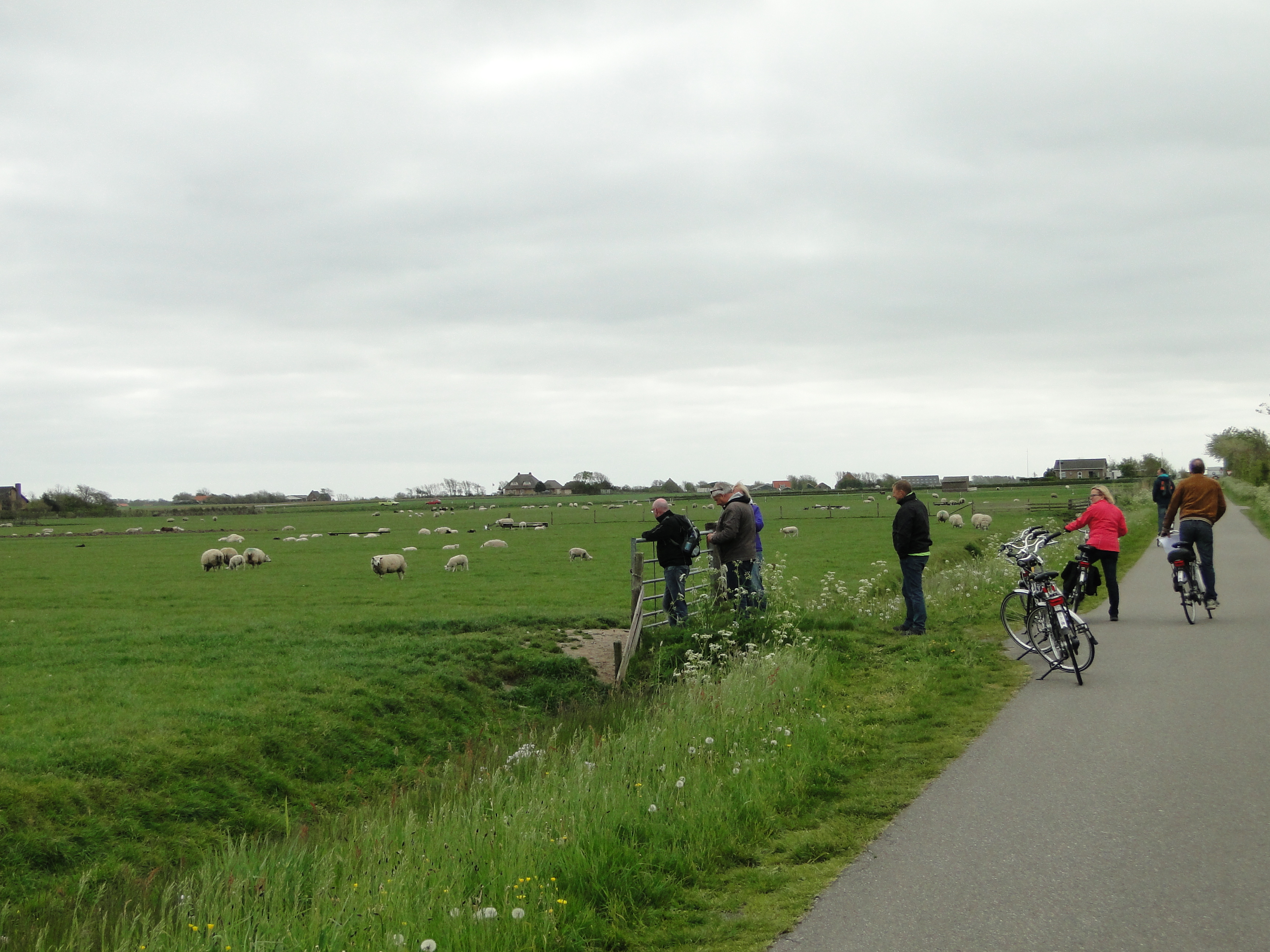 HWK Texel 127.jpg